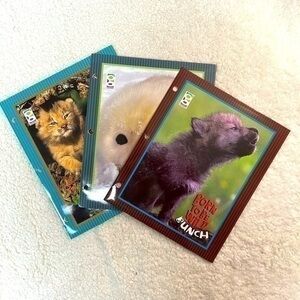 Born To Be Wild Bunch 2-Pocket Portfolio Folders - Pack of 3
